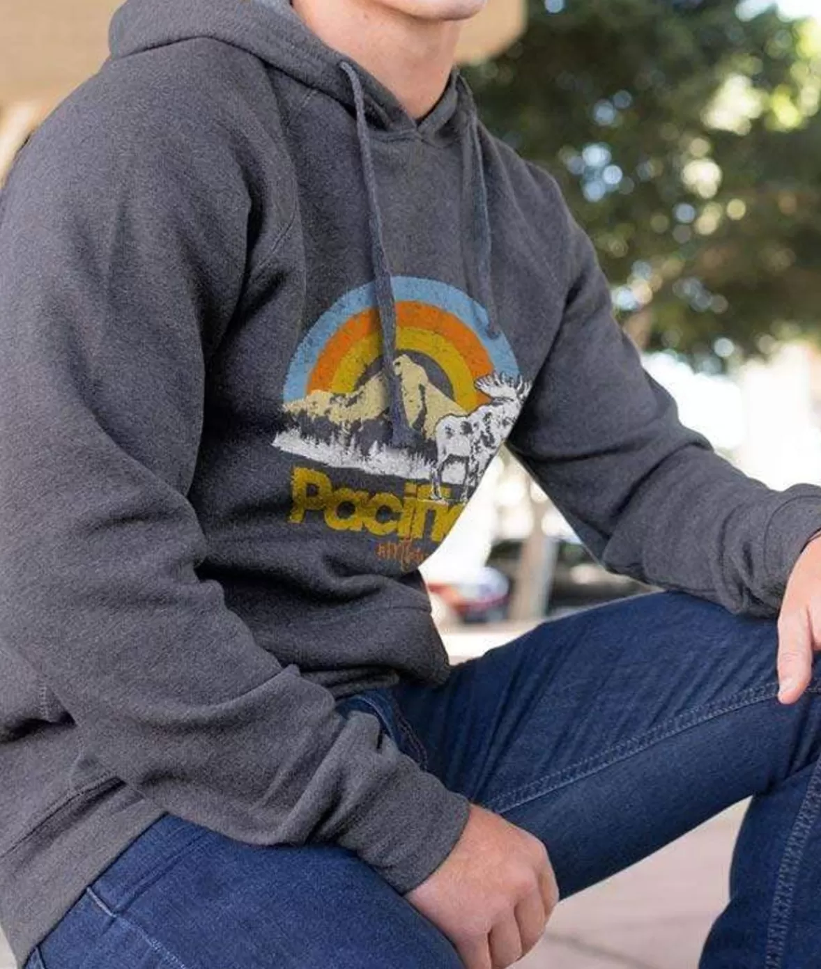 Men'S Ridiculously Soft Midweight Raglan Hooded Graphic Sweatshirt | Pacific Northwest | Nayked Apparel Hot